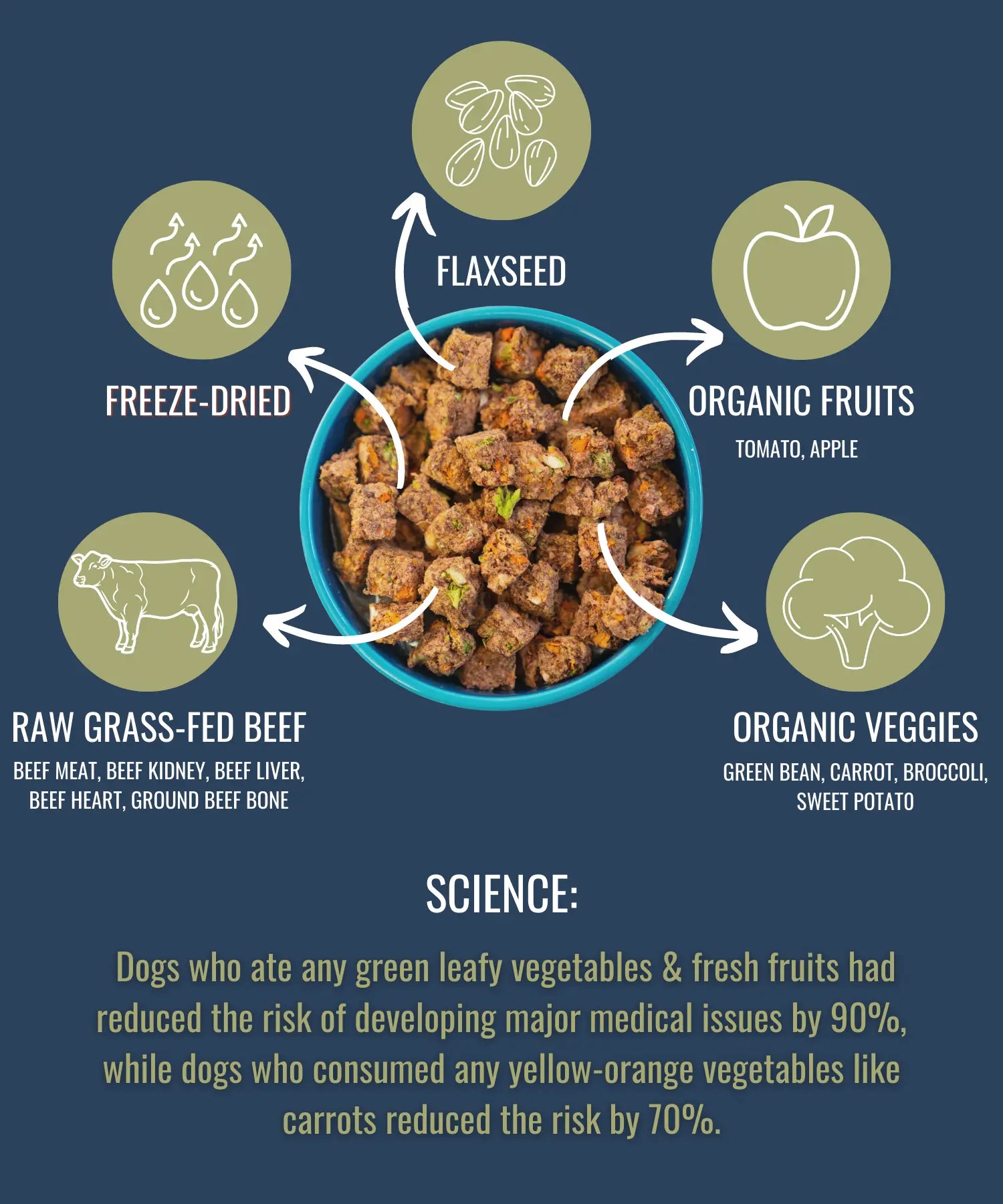 PREMIUM RAW FREEZE DRIED DOG FOOD BEEF Alpha Pak