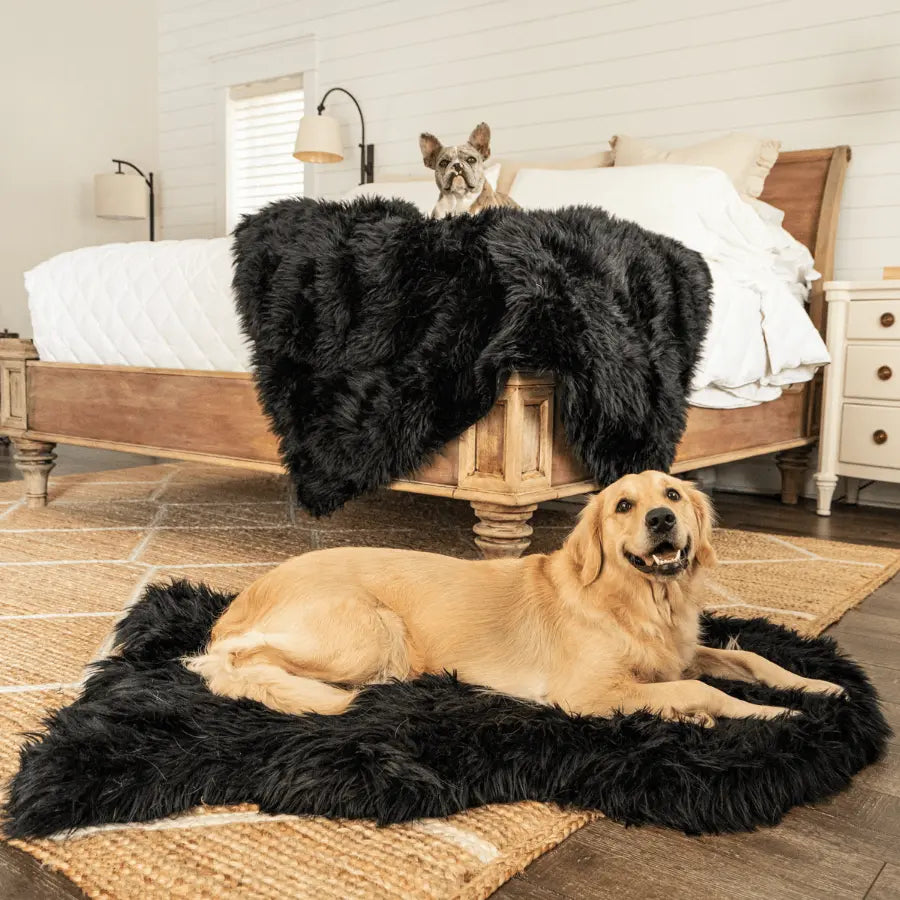 PupProtector™ Waterproof Throw Blanket - Midnight Black Paw.com