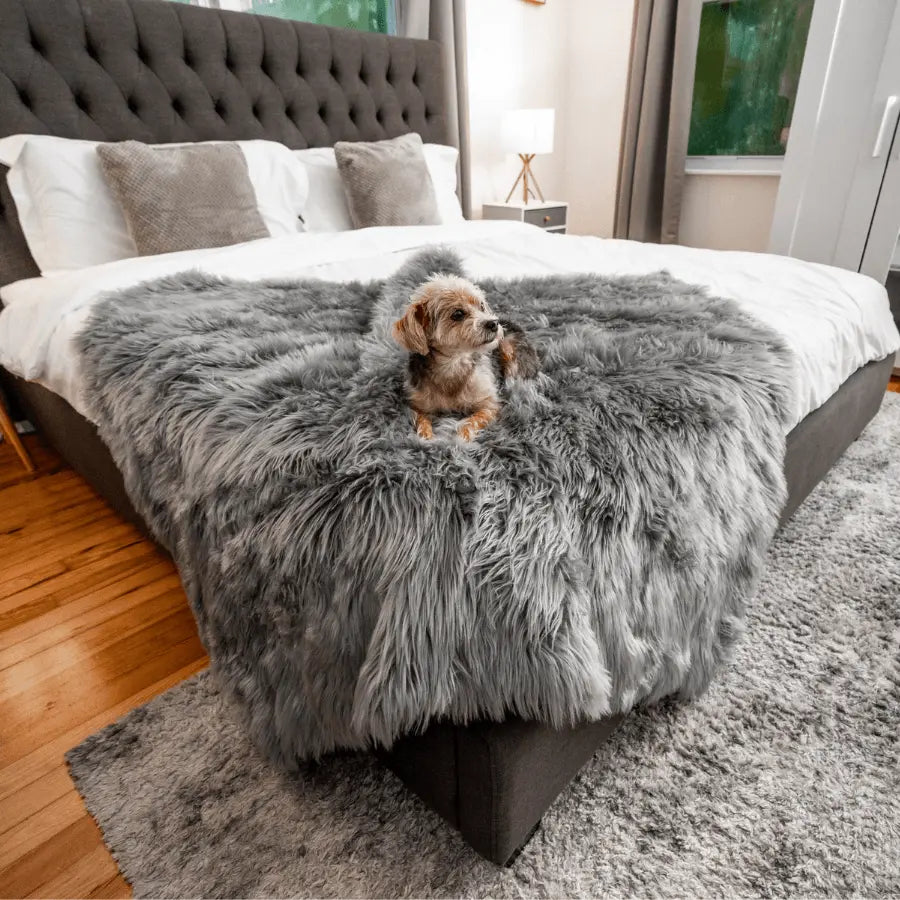 PupProtector™ Waterproof Throw Blanket - Charcoal Grey Paw.com