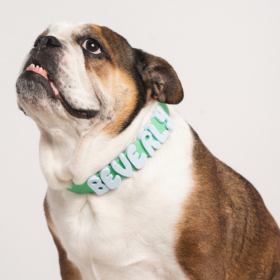 Waterproof Dog Collar