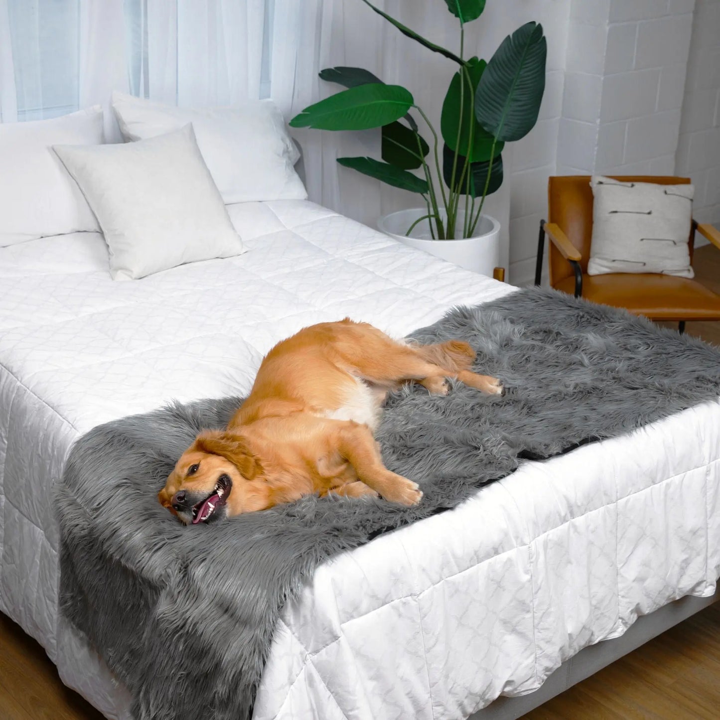 PupProtector™ Waterproof Bed Runner - Charcoal Grey Paw.com