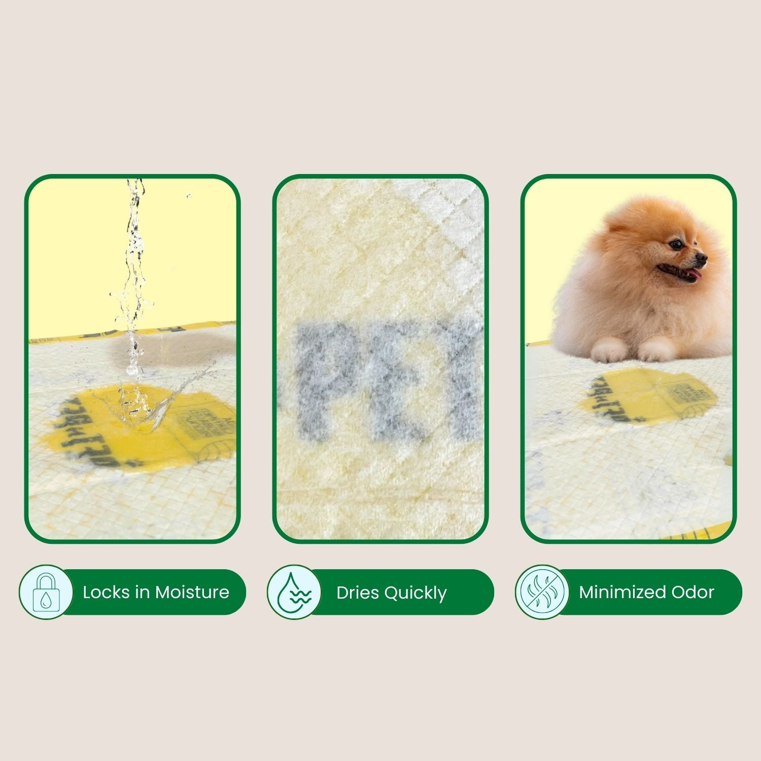 Pee Pads for Dogs Pet N Pet ®