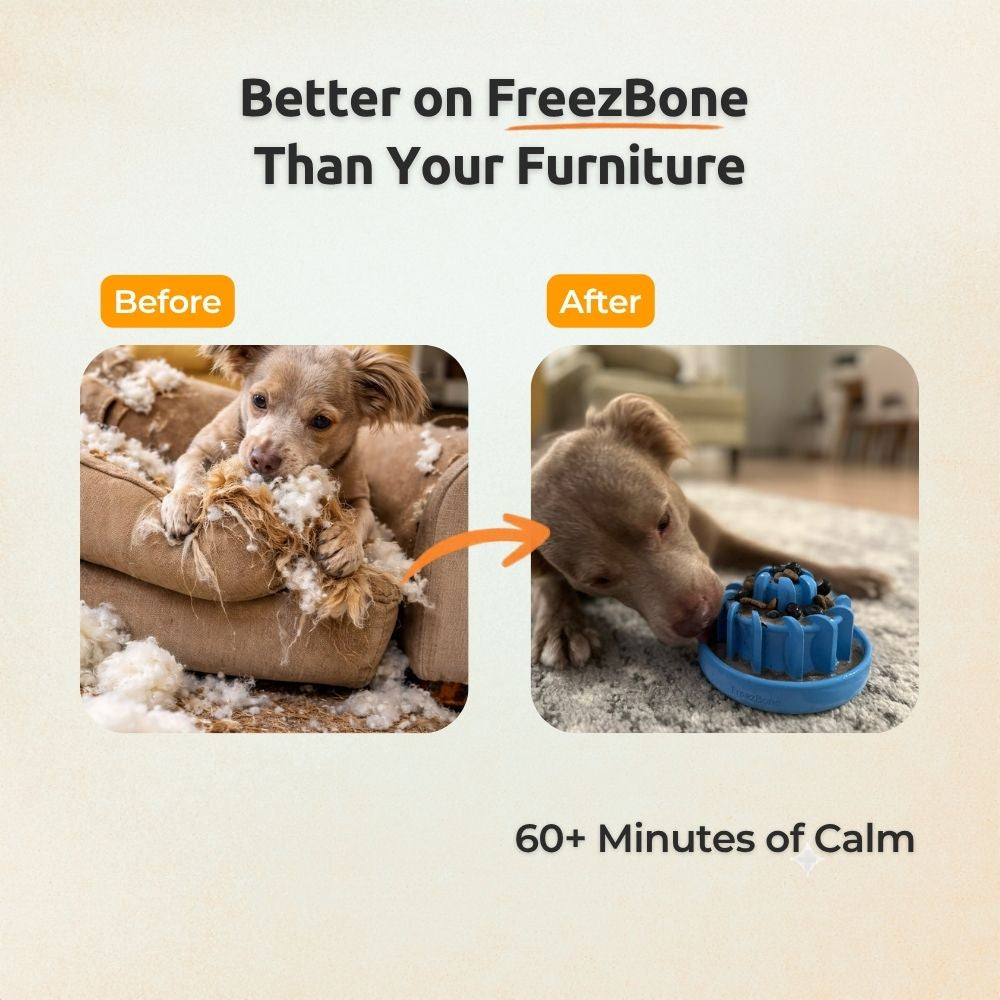 Calm & Enrichment Bundle - Calm Your Dog for Hours