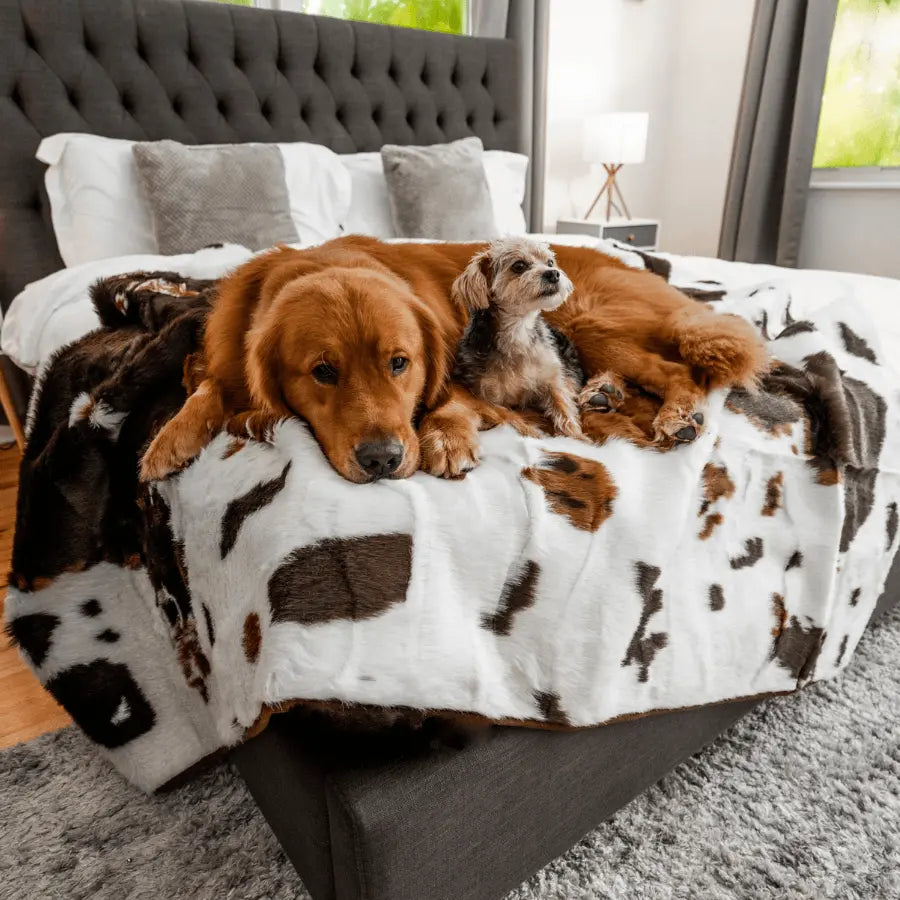 PupProtector™ Waterproof Throw Blanket - Brown Faux Cowhide Paw.com