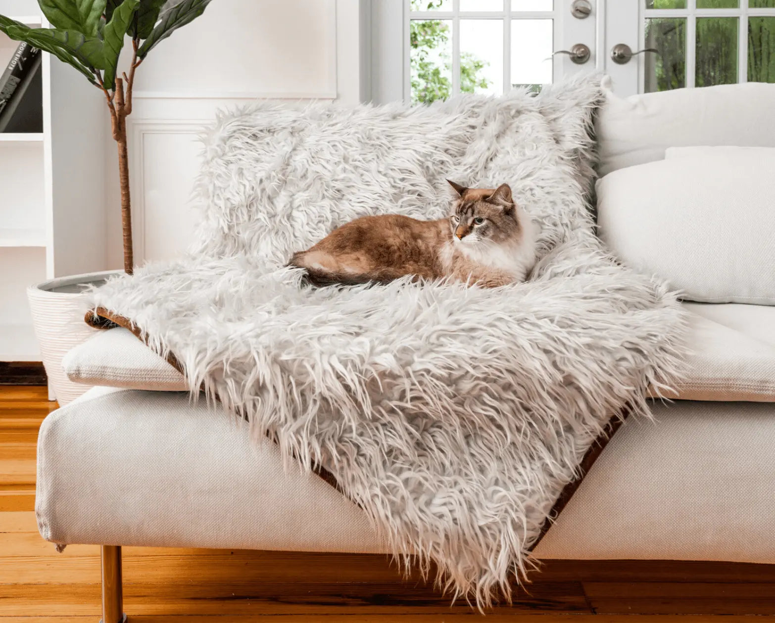 CatNap™ Anti-Scratch & Waterproof Throw Blanket - Grey Paw.com