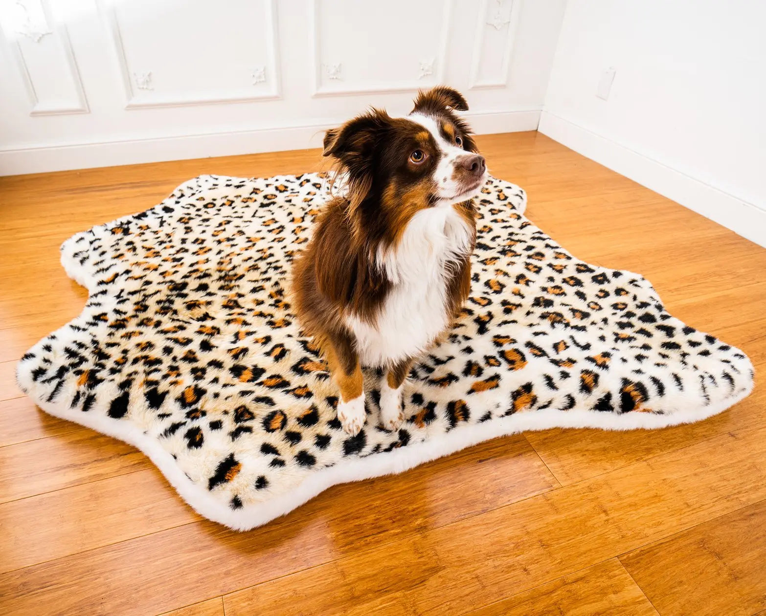 PupRug™ Animal Print Memory Foam Dog Bed - Cheetah Faux Print Paw.com