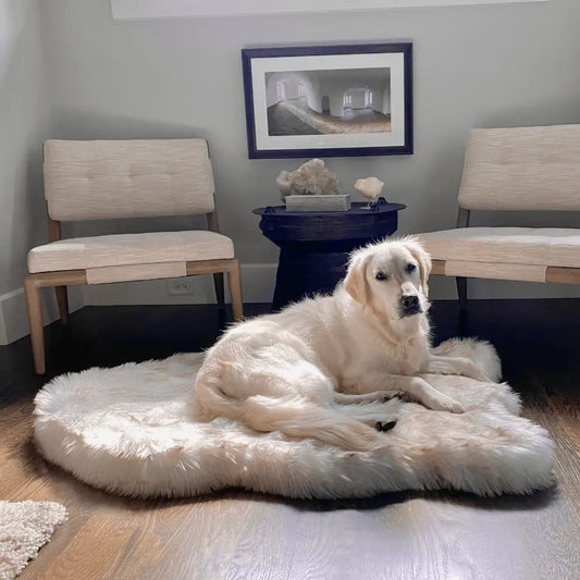 PupRug by Paw.com™ Faux Fur Orthopedic Dog Bed - Curve White with Brown Accents Paw.com