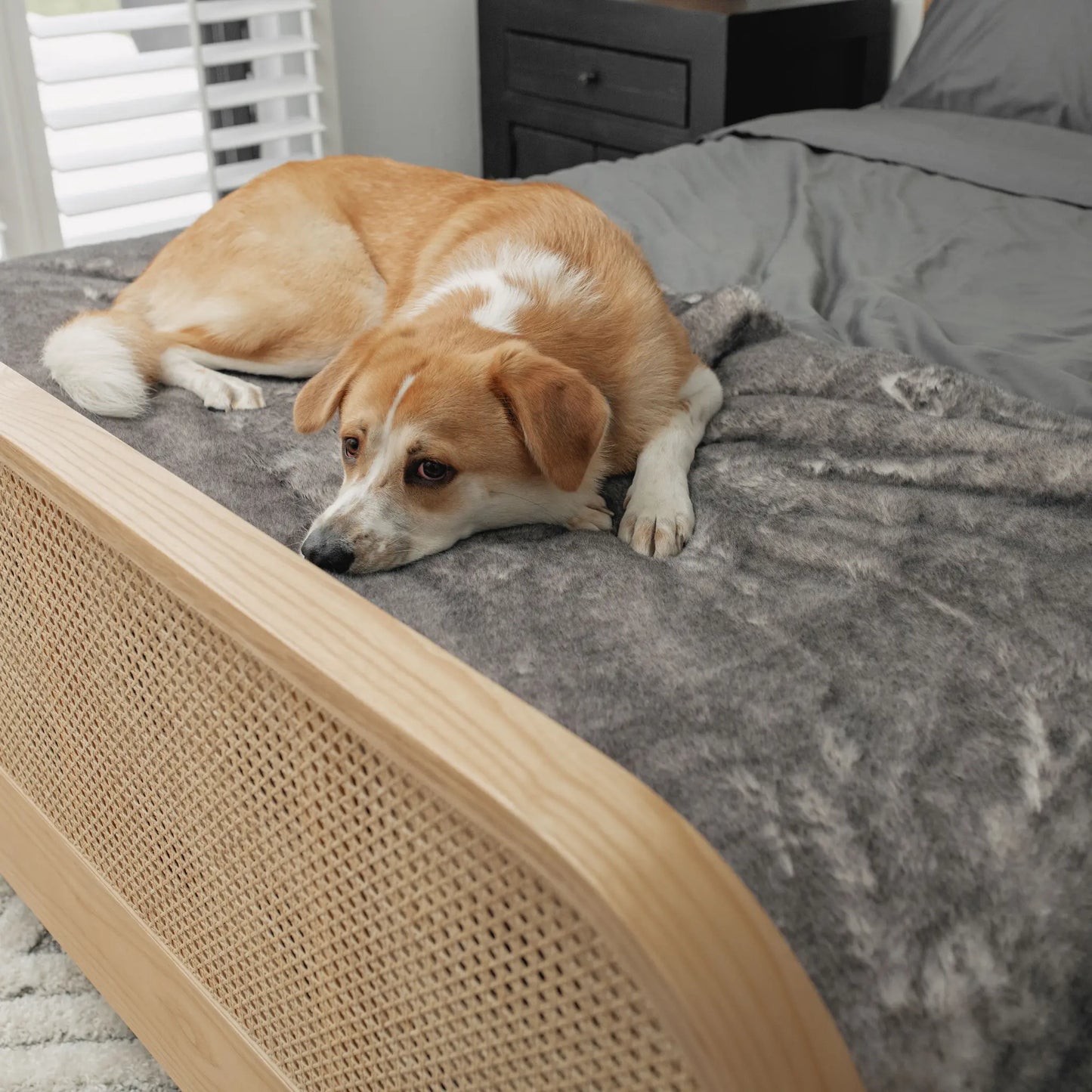 PupProtector™ Luxe Waterproof Bed Runner - Ultra Soft Chinchilla Paw.com