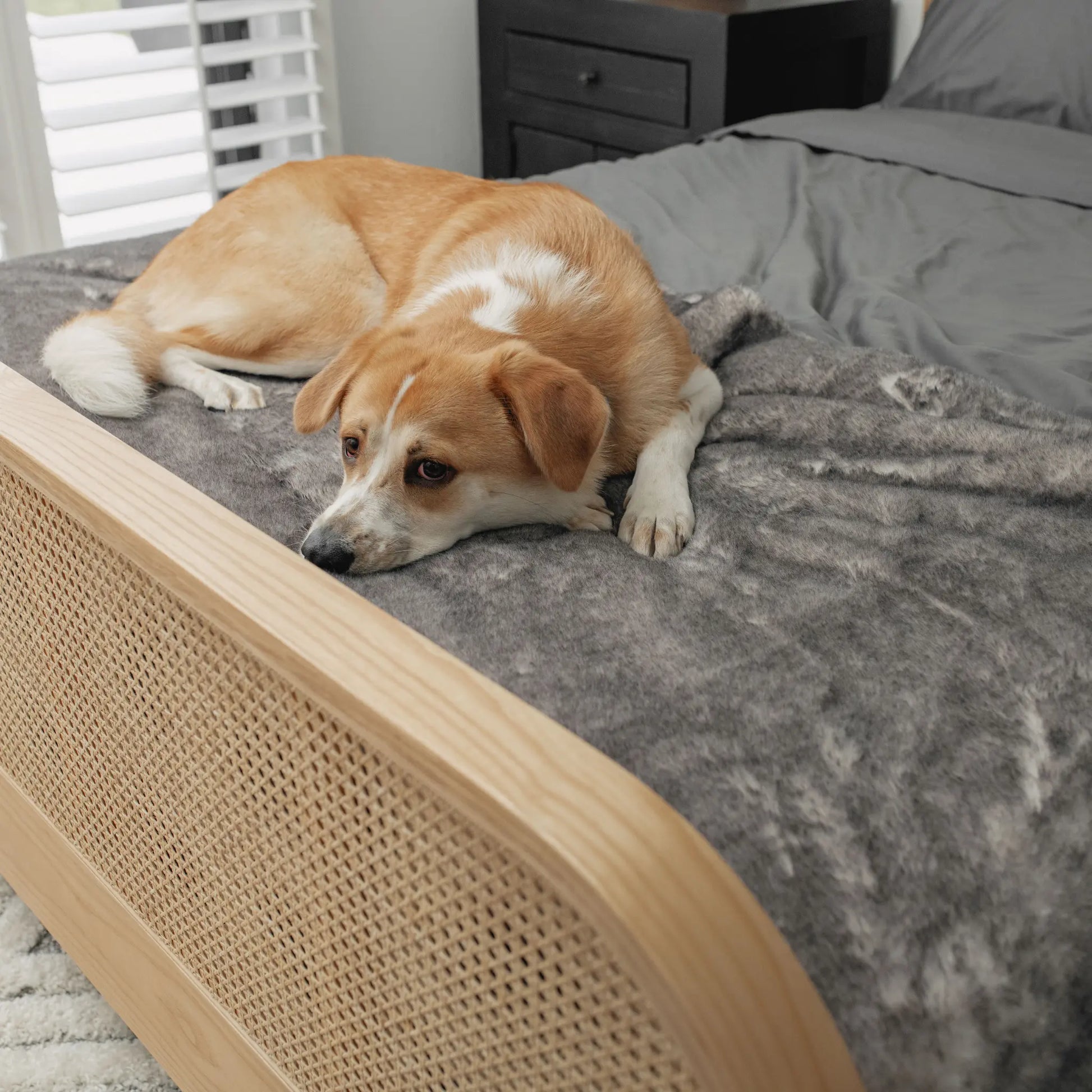PupProtector™ Luxe Waterproof Bed Runner - Ultra Soft Chinchilla Paw.com