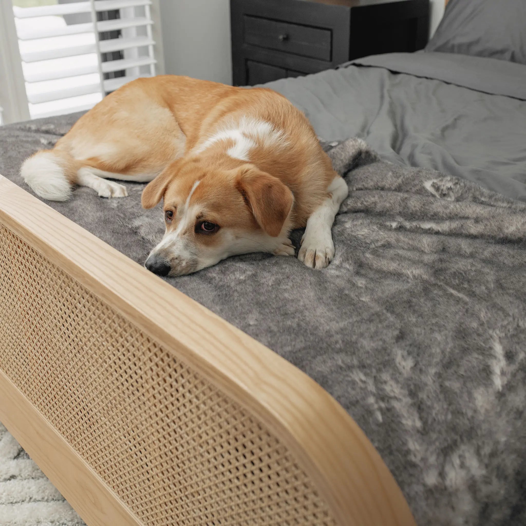 PupProtector™ Luxe Waterproof Bed Runner - Ultra Soft Chinchilla Paw.com