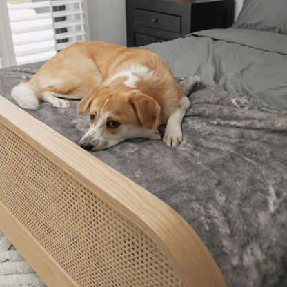 PupProtector™ Luxe Waterproof Bed Runner - Ultra Soft Chinchilla Paw.com