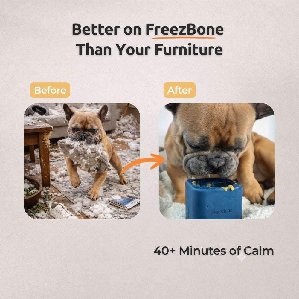 Tough Chewer Bundle - Extra-thick natural rubber for power chewers