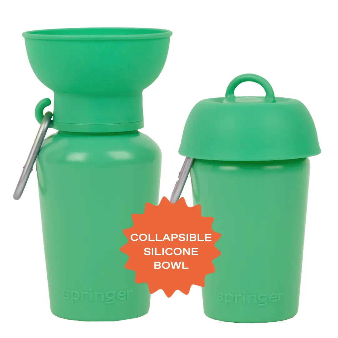 20oz Flip Travel Dog Water Bottle