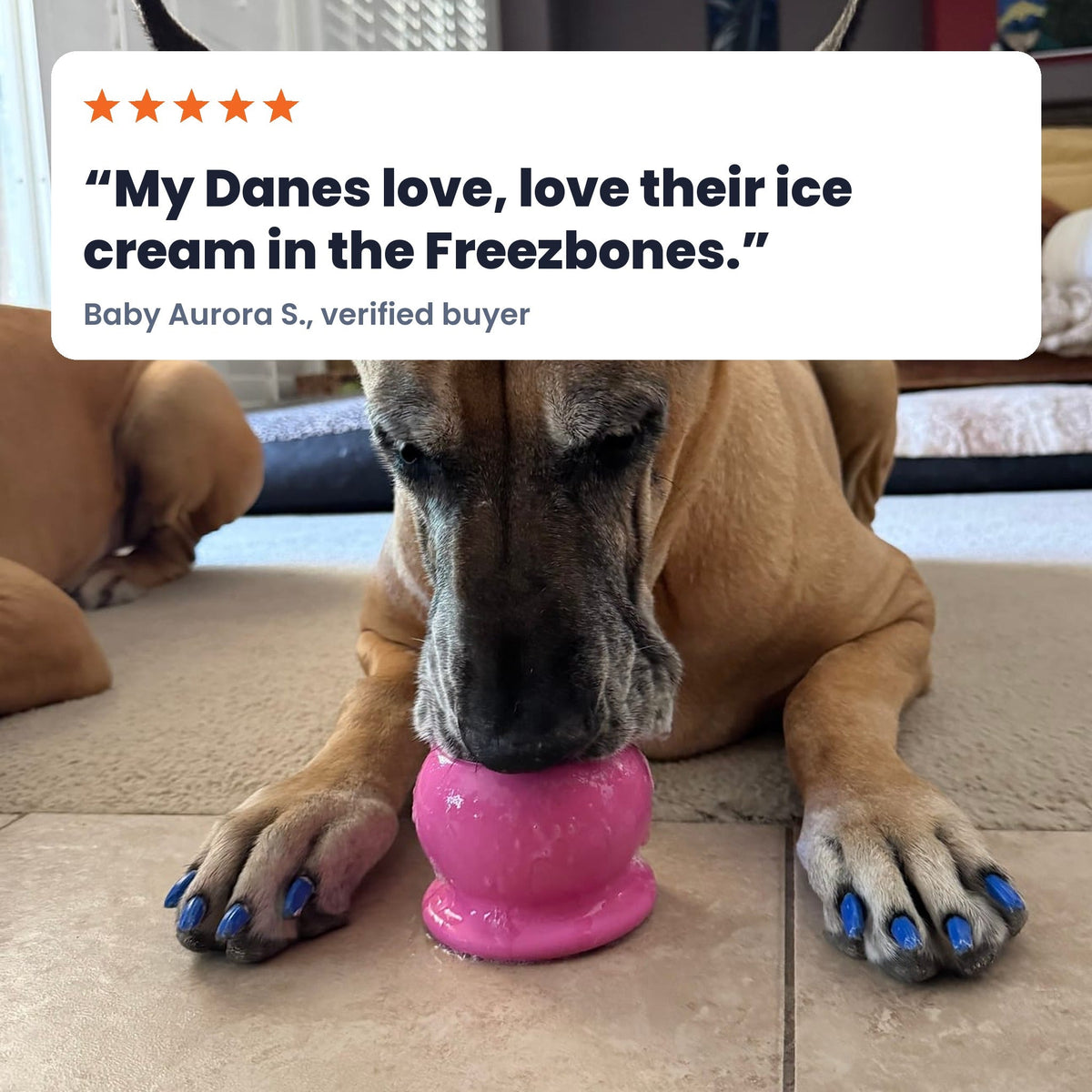 Freezball Dog Chew Toy- Durable Fillable Dog Chew Bone