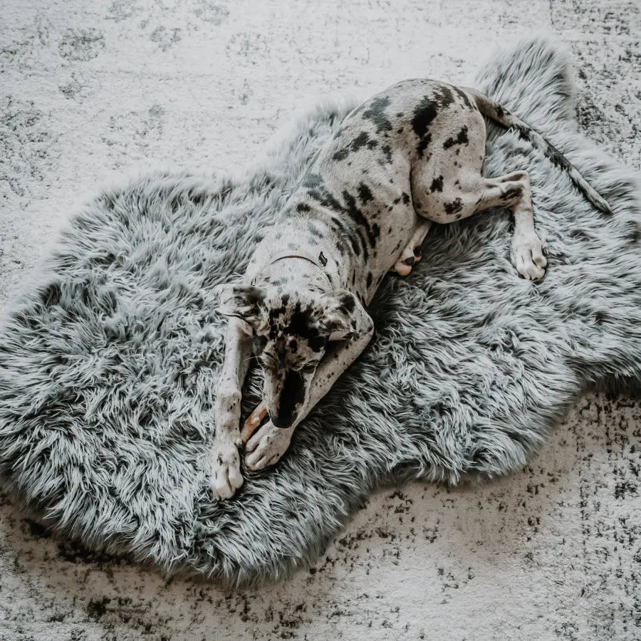 PupRug by Paw.com™ Faux Fur Orthopedic Dog Bed - Curve Charcoal Grey Paw.com