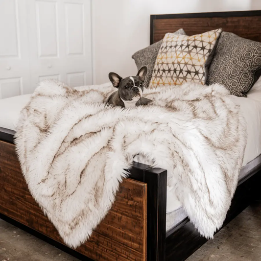 PupProtector™ Waterproof Throw Blanket - White with Brown Accents Paw.com