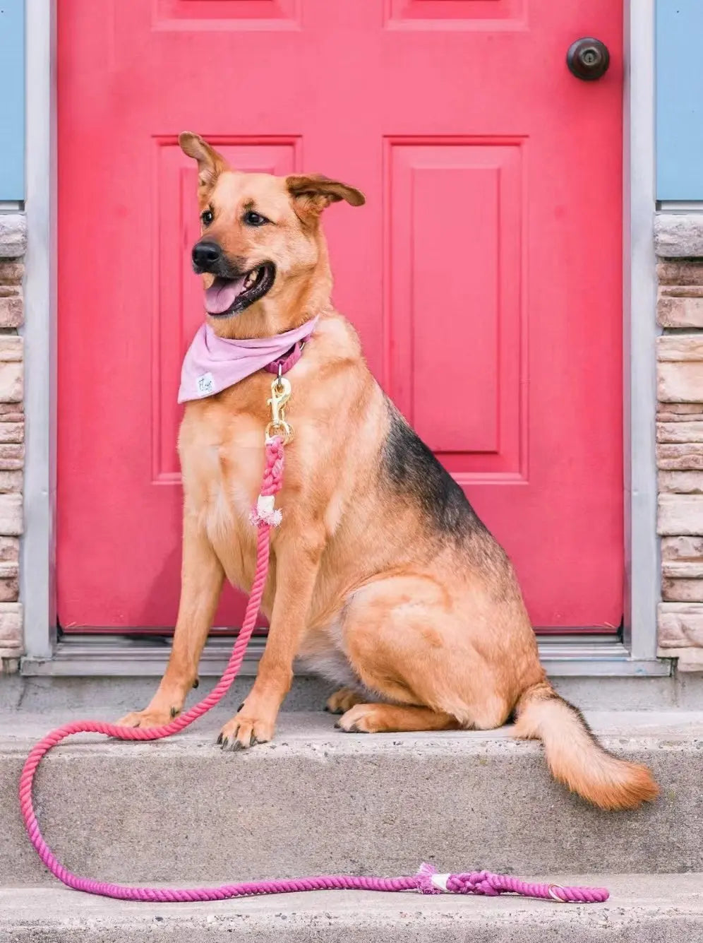 Dog Rope Leash - Mermaid PAWSOME PETS