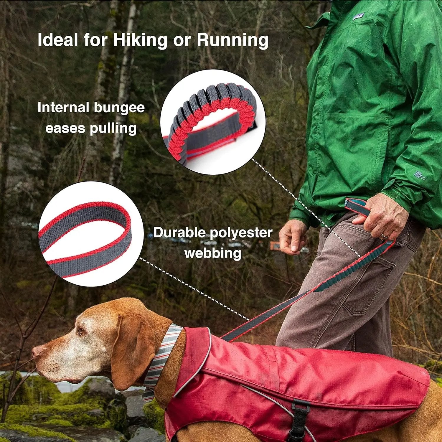 Springback Leash for Dogs, 30 Inch Blue/Grey, Padded Handle, Bungee Eases Pulling