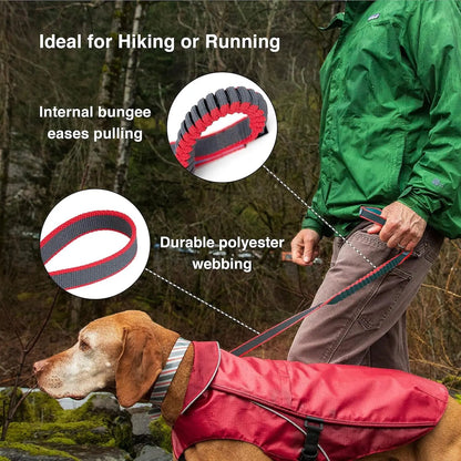 Springback Leash for Dogs, 30 Inch Blue/Grey, Padded Handle, Bungee Eases Pulling