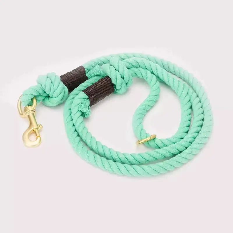 Dog Rope Leash - 	Teal PAWSOME PETS