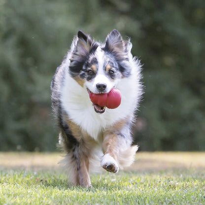 ® Classic Stuffable Dog Chew Toy, XL