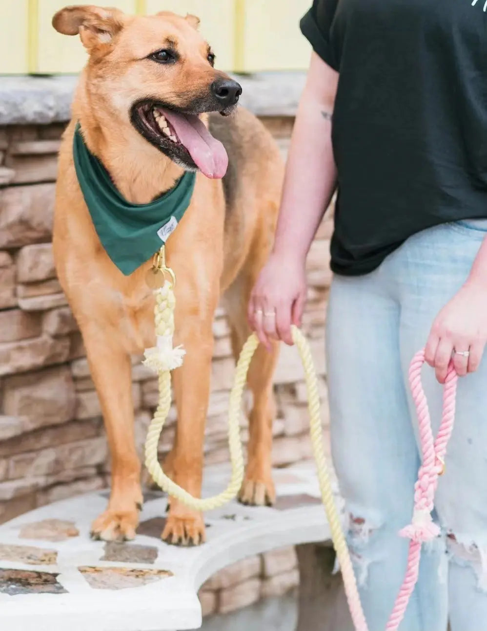 Dog Rope Leash - Natural PAWSOME PETS