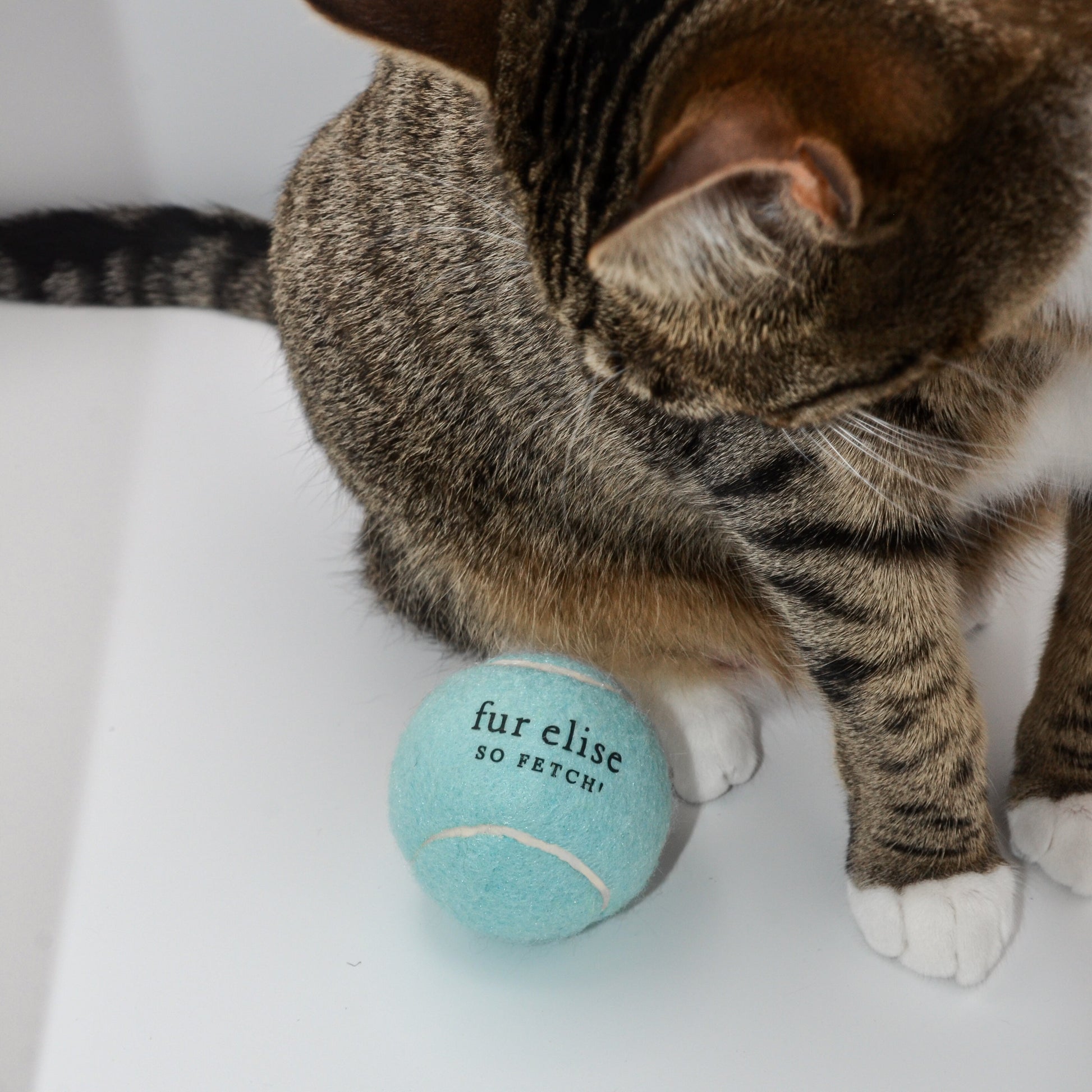 So Fetch! Tennis Ball - Cloud Elise Galleria