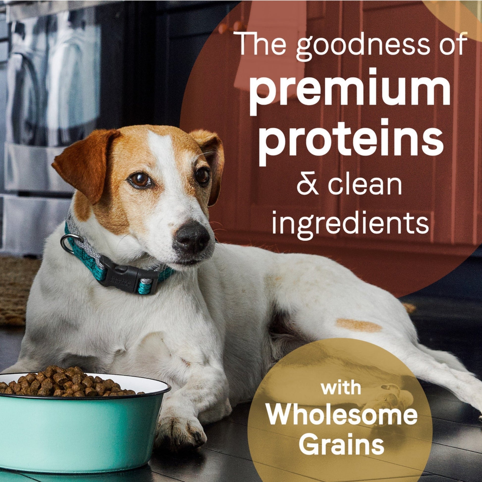 CANIDAE PURE Farm To Bowl  w/Wholesome Grains Dry Dog Food Lamb  Brown Rice, 1ea/4 lb