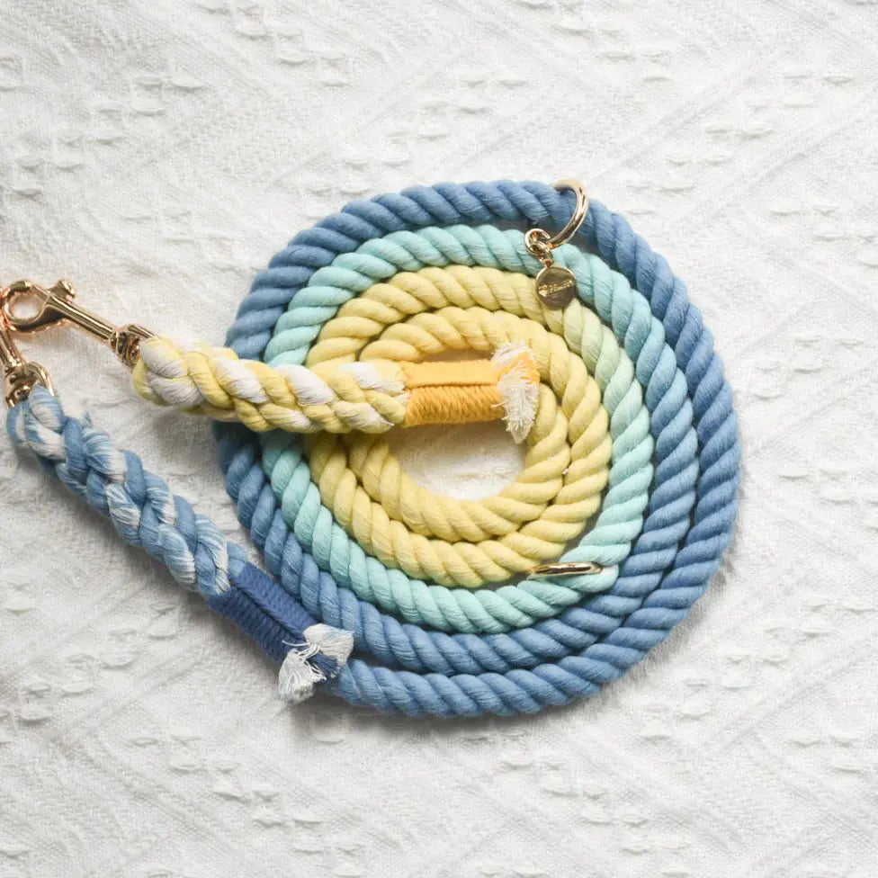 HANDS FREE DOG ROPE LEASH - DAWN