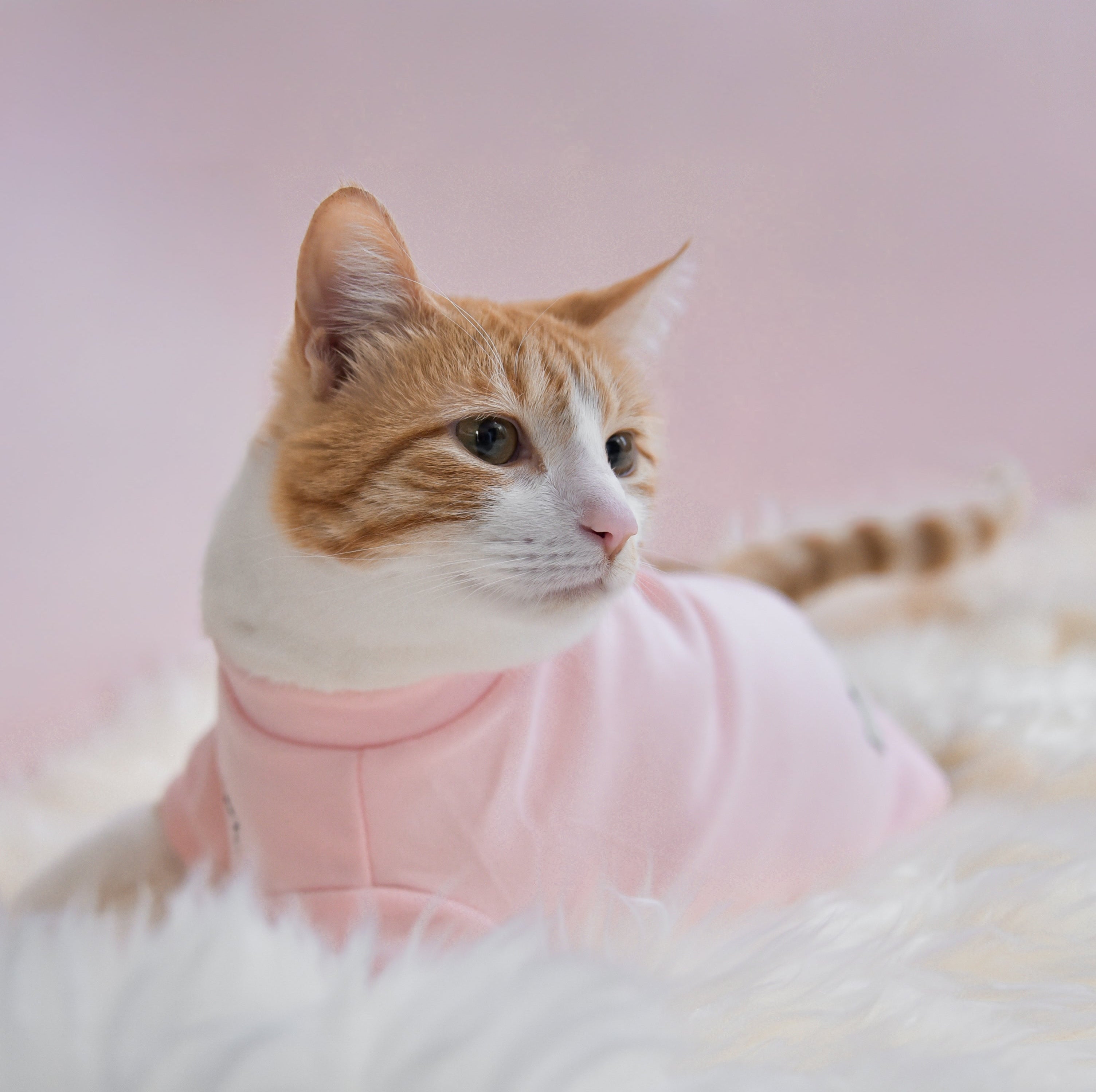 Fur Elise Spoiled Mock Neck Shirt - Blush