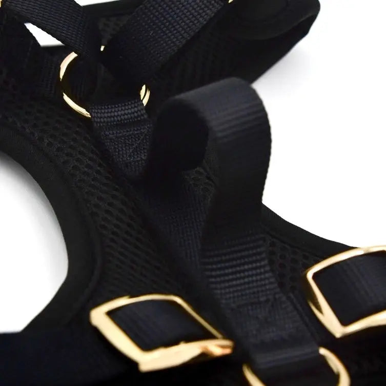 Elise Harness - Noir Elise Galleria