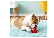 KONG Squeezz Ball Assorted Colors Dog Toy Bundle 3 Count for Fetch Fun, 2.5"