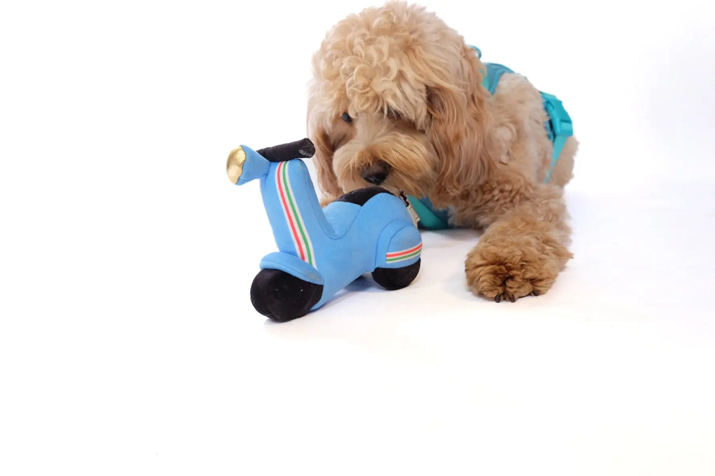 Scooter Pet Plush Toy - K9 Outdoors