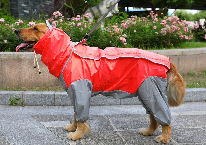 Pet dog raincoat, dog clothing processing, clothing and clothing, big dog raincoat, four legged golden fur, large dog