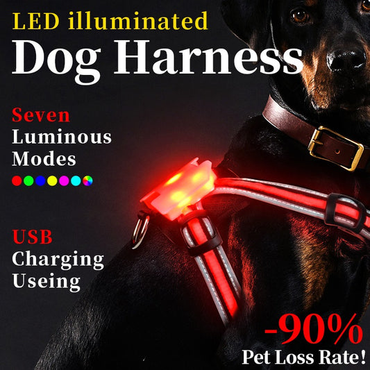 LED Light-Emitting Chest Harness Explosion-Proof Nighttime Dog Walking Undershirt Small And Large Dog Harness