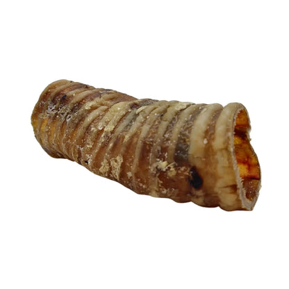 Country Living All-Natural Beef Trachea Dog Treats, Protein-Packed Chews – 6 Inches (5-Pack) American Pet Supplies