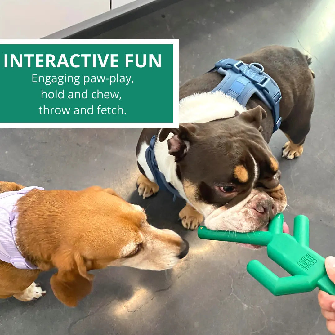 Dog Chew Toy - K9 Outdoors