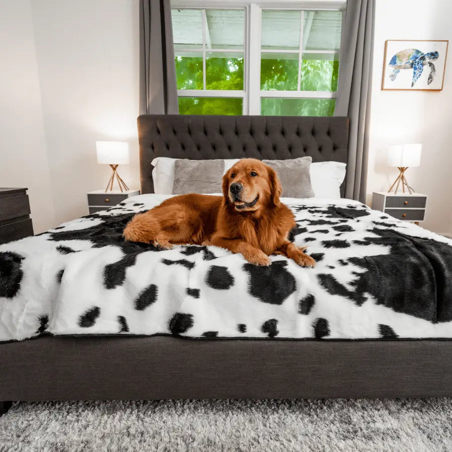 PupProtector™ Waterproof Throw Blanket - Black Faux Cowhide Paw.com