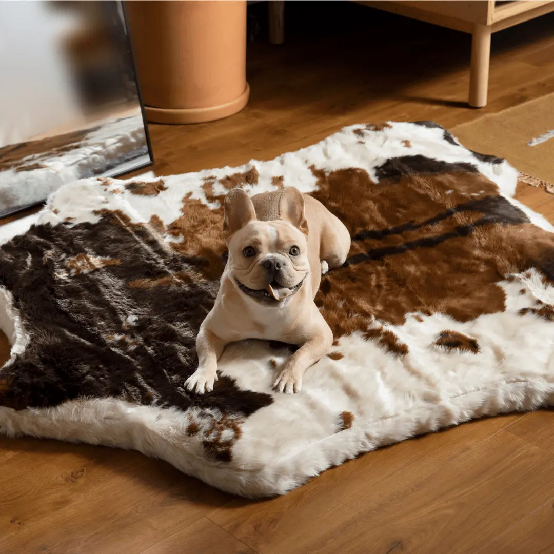 PupRug™ Animal Print Memory Foam Dog Bed - Brown Faux Cowhide Paw.com