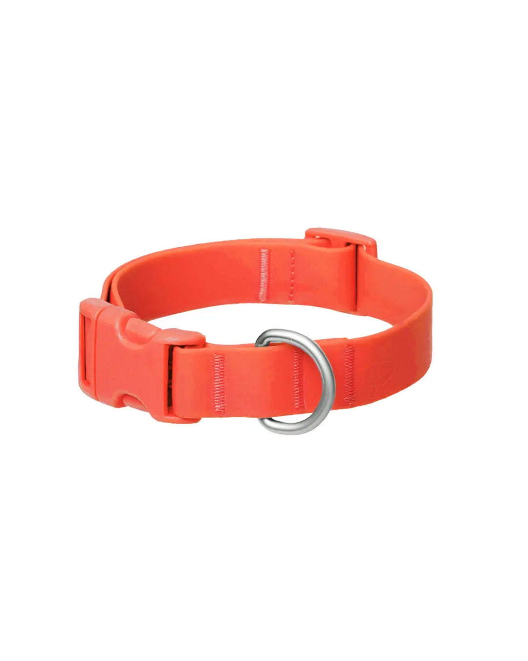 Original Waterproof Dog Collar Springland Pets