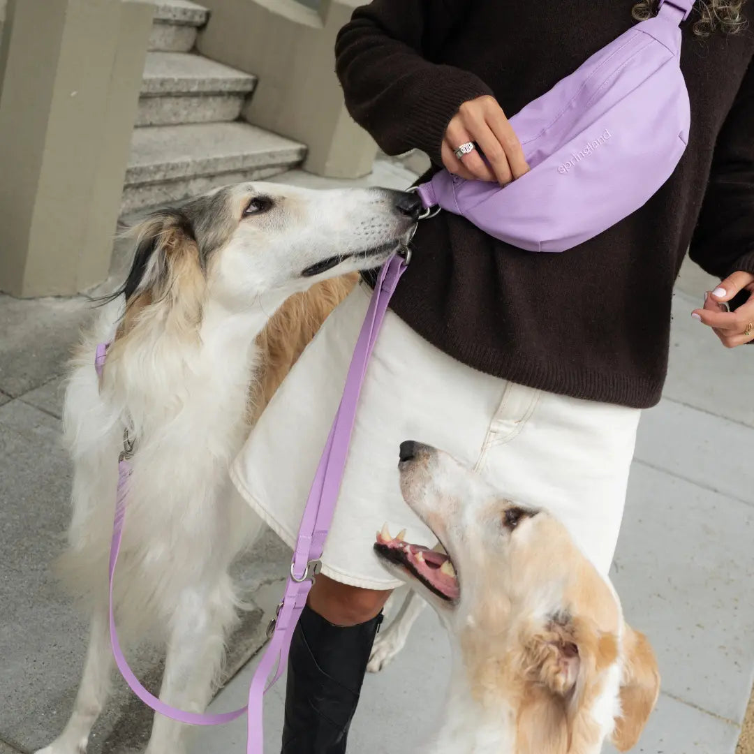 Hands-Free Dog Walking Bag with 4ft Leash Springland Pets