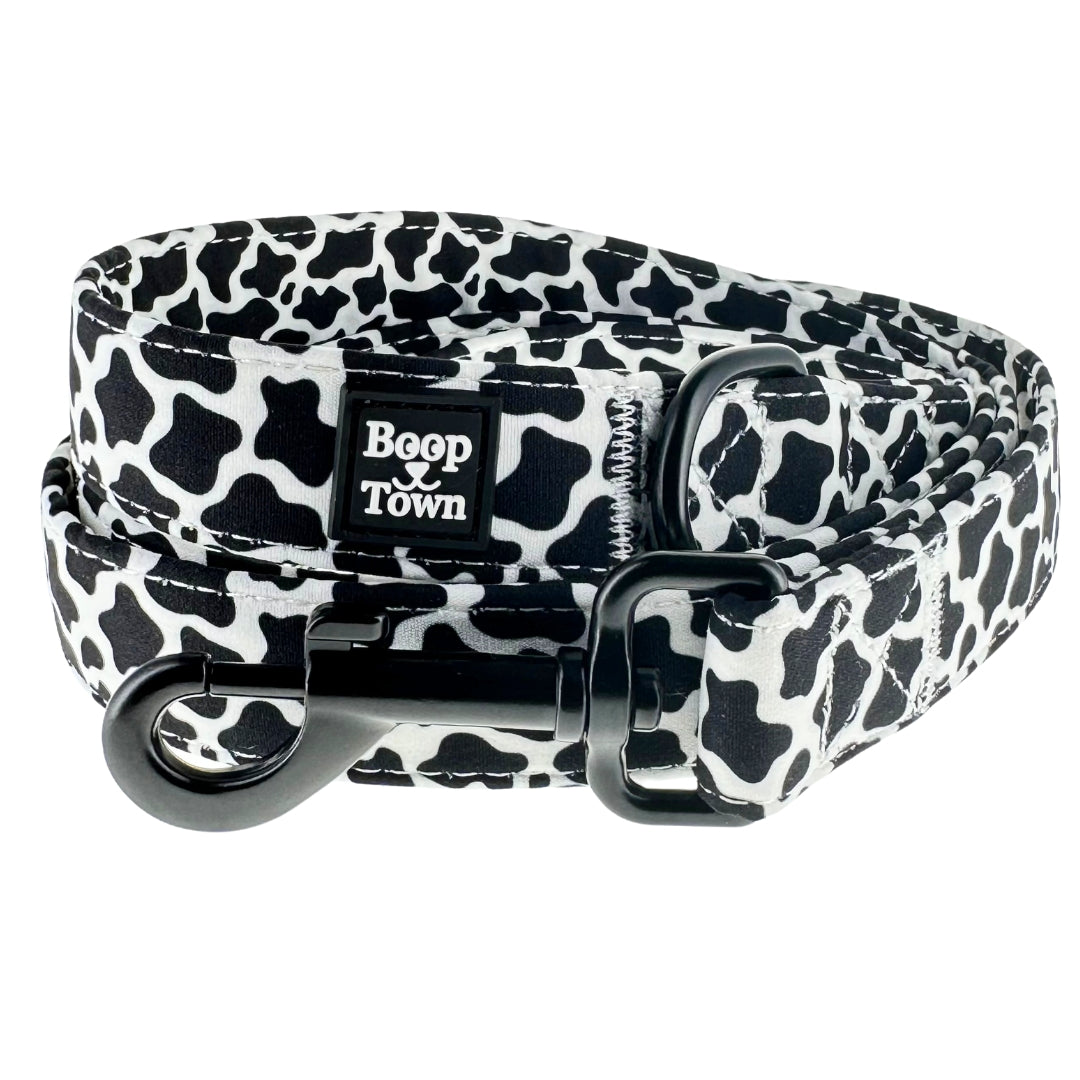 Dog Leashes Boop Town
