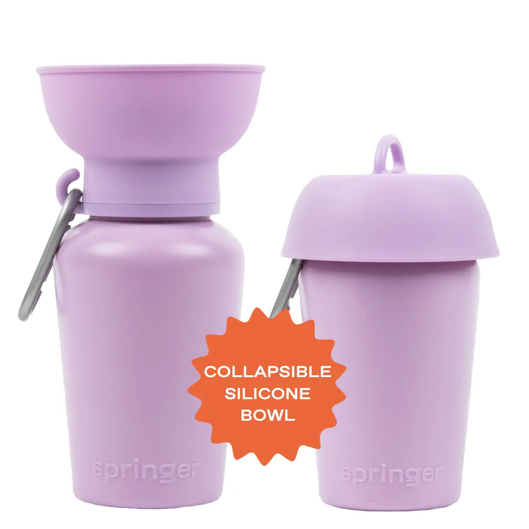 20oz Flip Travel Dog Water Bottle