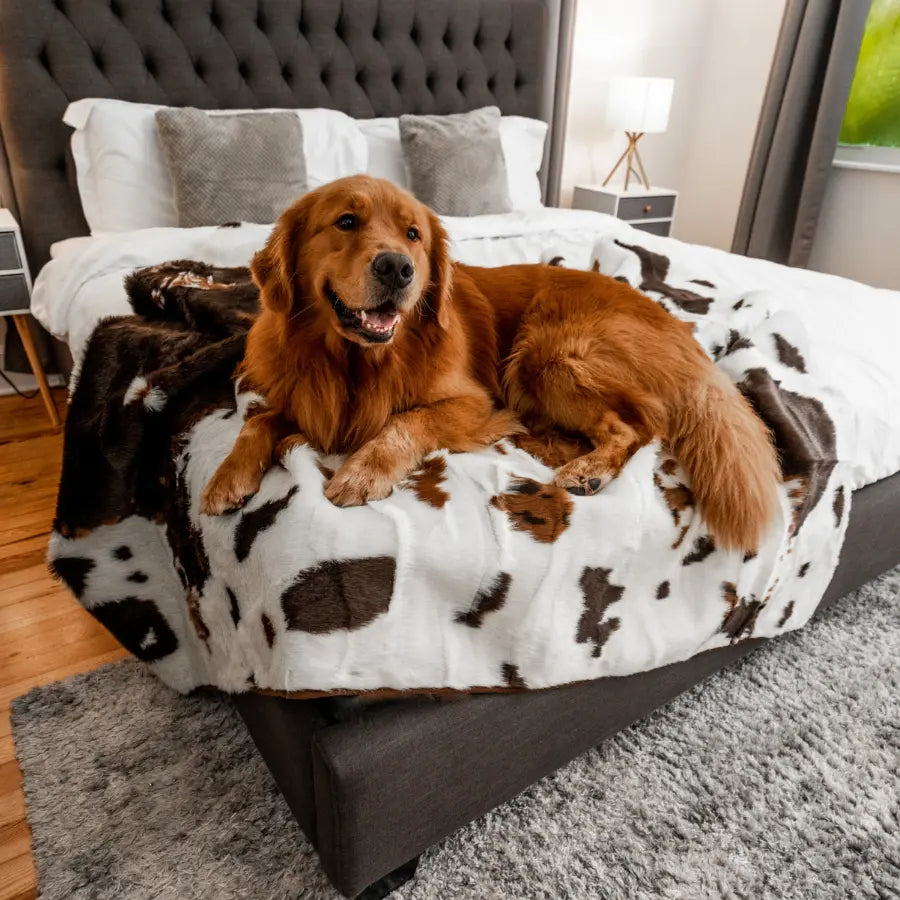 PupProtector™ Waterproof Throw Blanket - Brown Faux Cowhide Paw.com