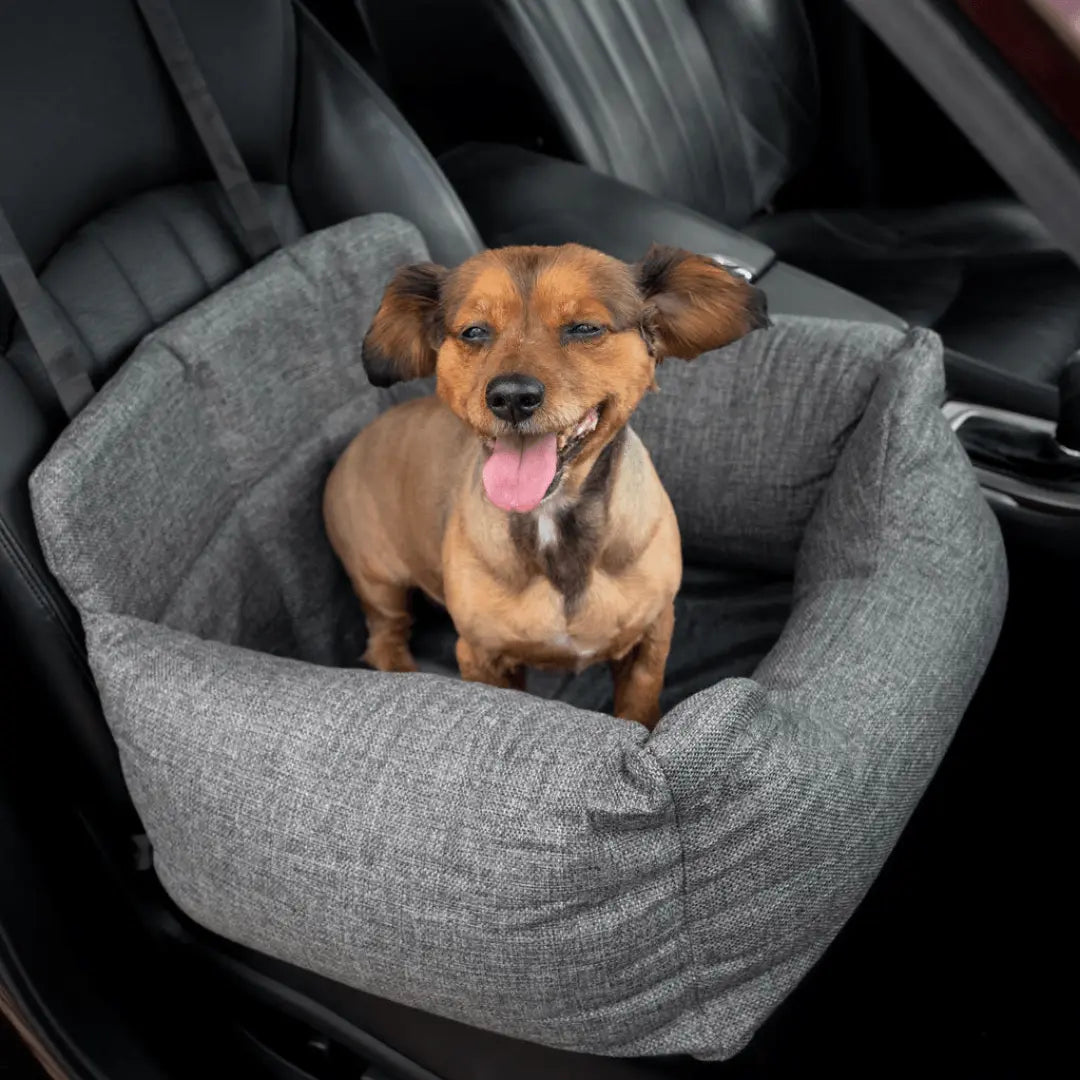 PupProtector™ Memory Foam Dog Car Bed Paw.com
