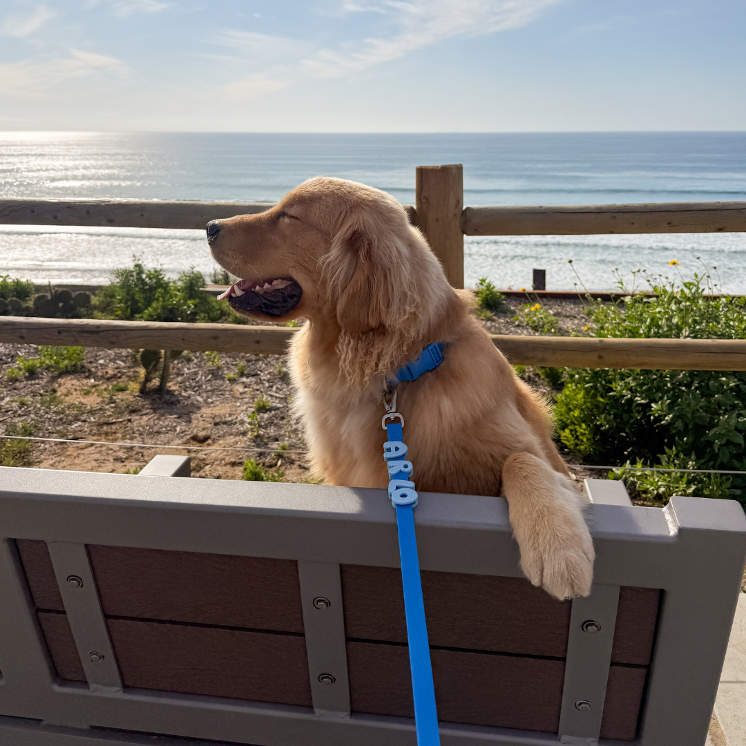 Waterproof Dog Leash - 5ft