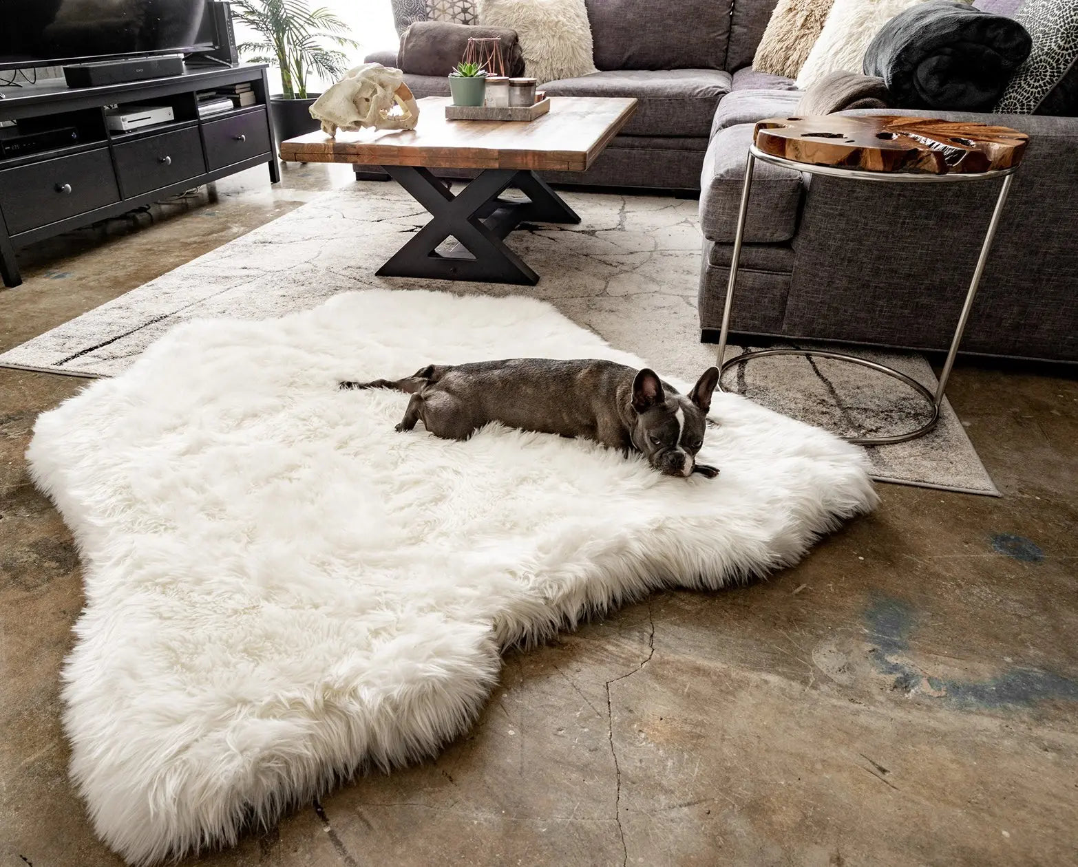 PupRug™ Animal Print Memory Foam Dog Bed - Polar Bear Faux Hide Paw.com