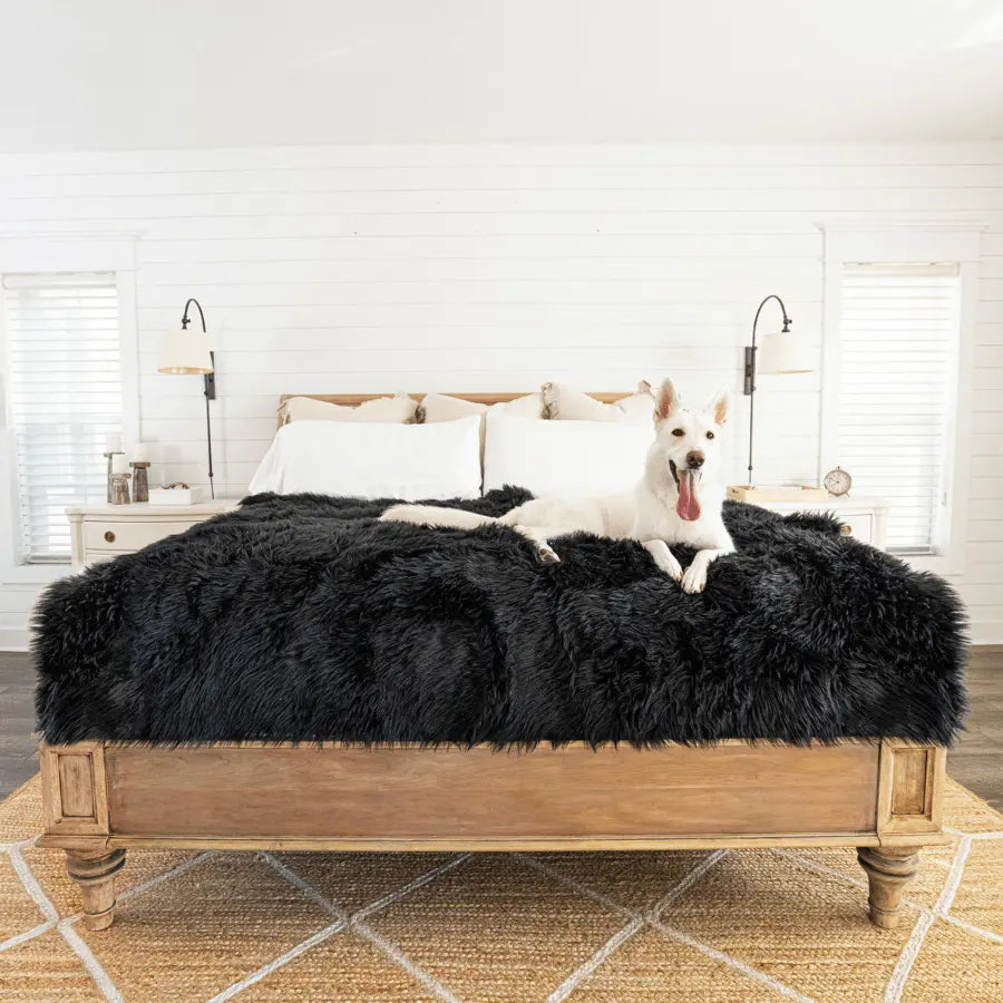 PupProtector™ Waterproof Throw Blanket - Midnight Black Paw.com
