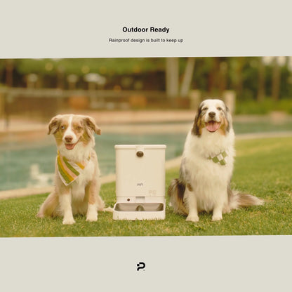 All-in-One Smart Pet Feeder PiFi