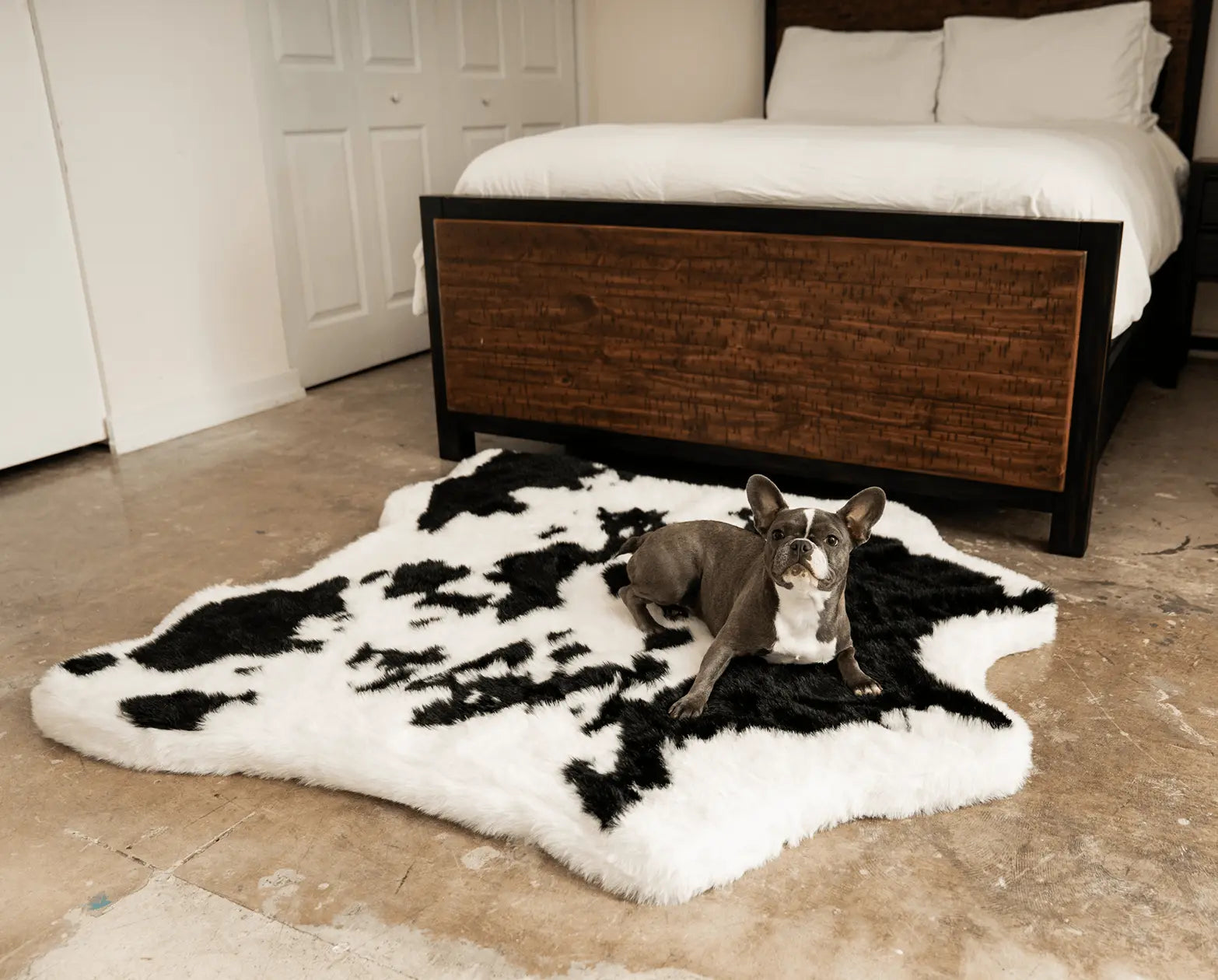 PupRug™ Animal Print Memory Foam Dog Bed - Black Faux Cowhide Paw.com